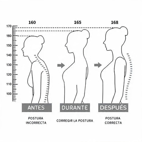 BackRelief Care Soporte Ergonómico de Espalda